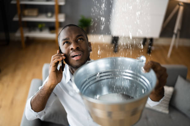 Best Flood restoration services  in Moroni, UT