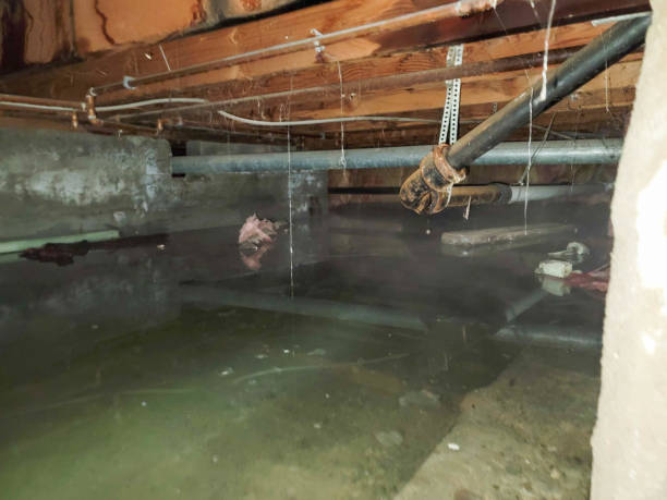 Carpet water damage restoration in Moroni, UT