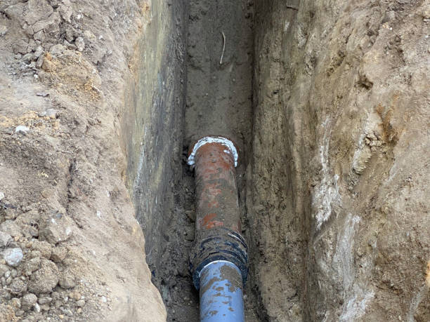 Best Flood damage cleanup  in Moroni, UT