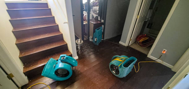 Reliable Moroni, UT Water damage restoration Solutions