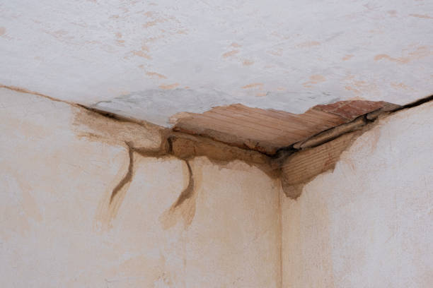 Best Water damage contractors near me  in Moroni, UT