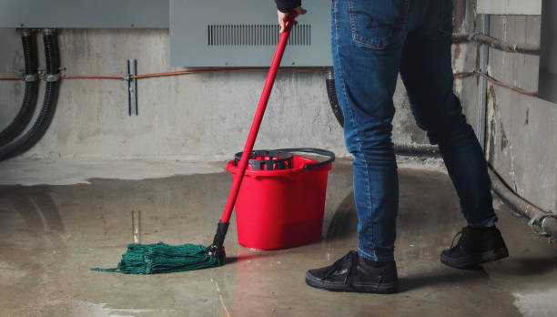 Best Professional water damage repair  in Moroni, UT