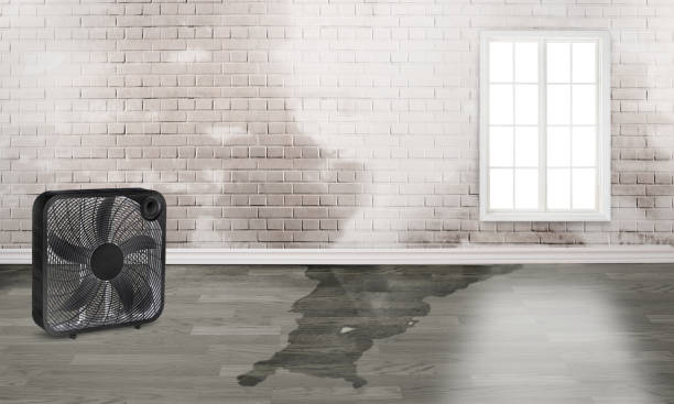 Local water damage restoration in Moroni, UT
