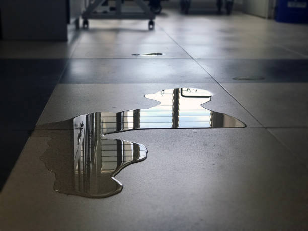 Best 24-hour water damage restoration  in Moroni, UT