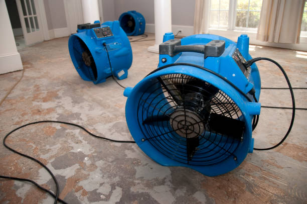 Best Water damage restoration near me  in Moroni, UT