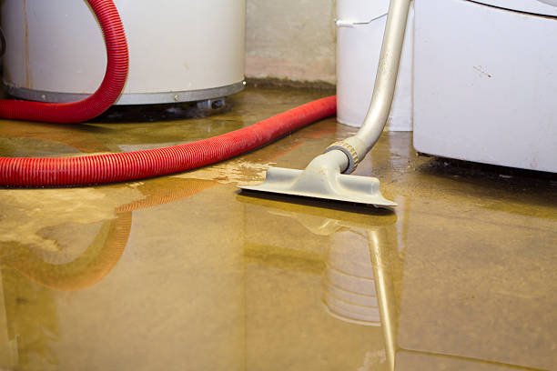 Best Residential water damage restoration  in Moroni, UT