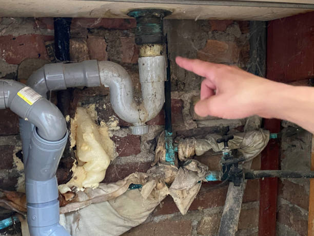 Best Water damage restoration experts  in Moroni, UT