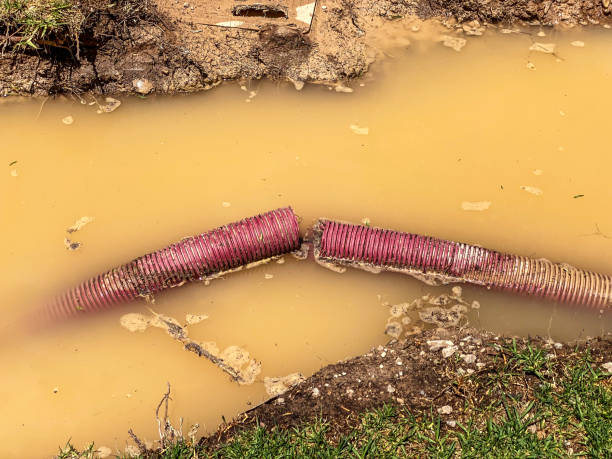Best Mold removal after water damage  in Moroni, UT