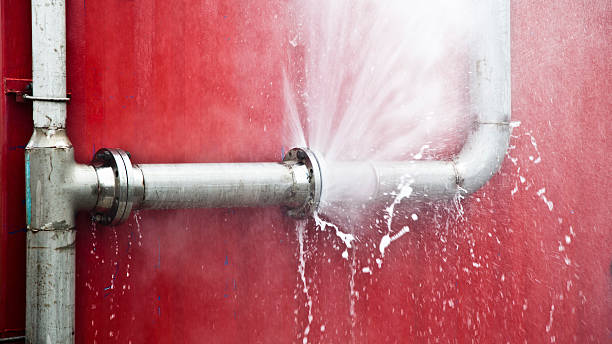 Best Water damage restoration mold remediation  in Moroni, UT