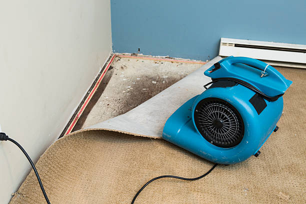 Best Ceiling water damage repair  in Moroni, UT